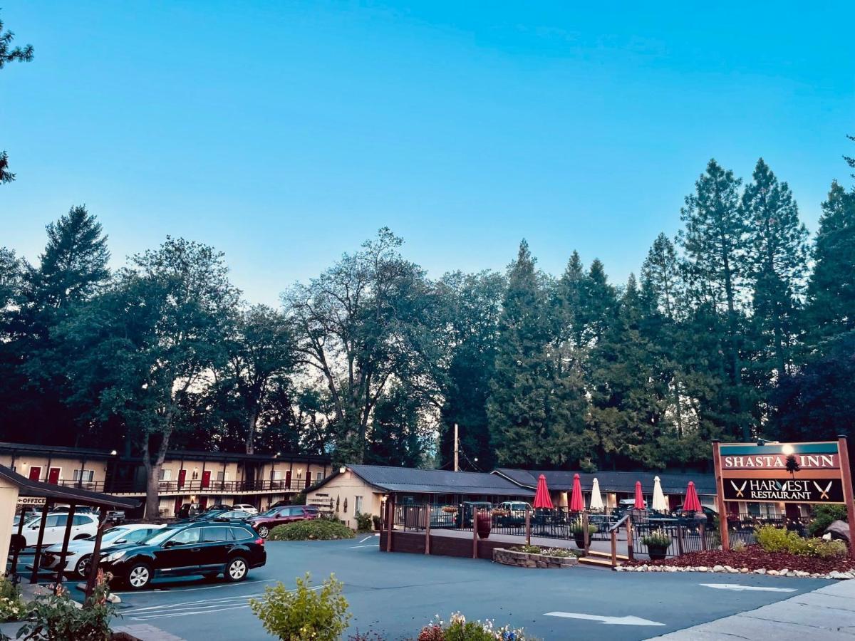 Hotel Shasta